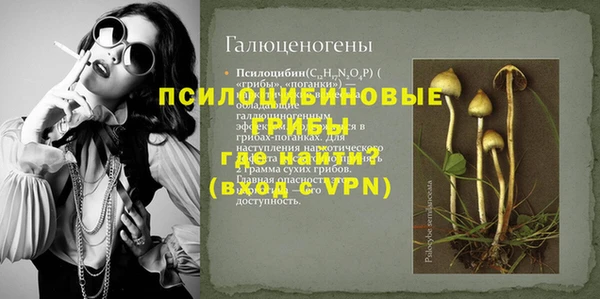 шишки Навашино