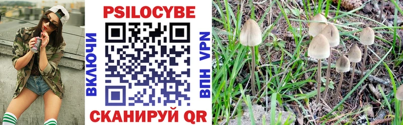 blacksprut как войти  Киреевск  маркетплейс состав  Галлюциногенные грибы Cubensis 