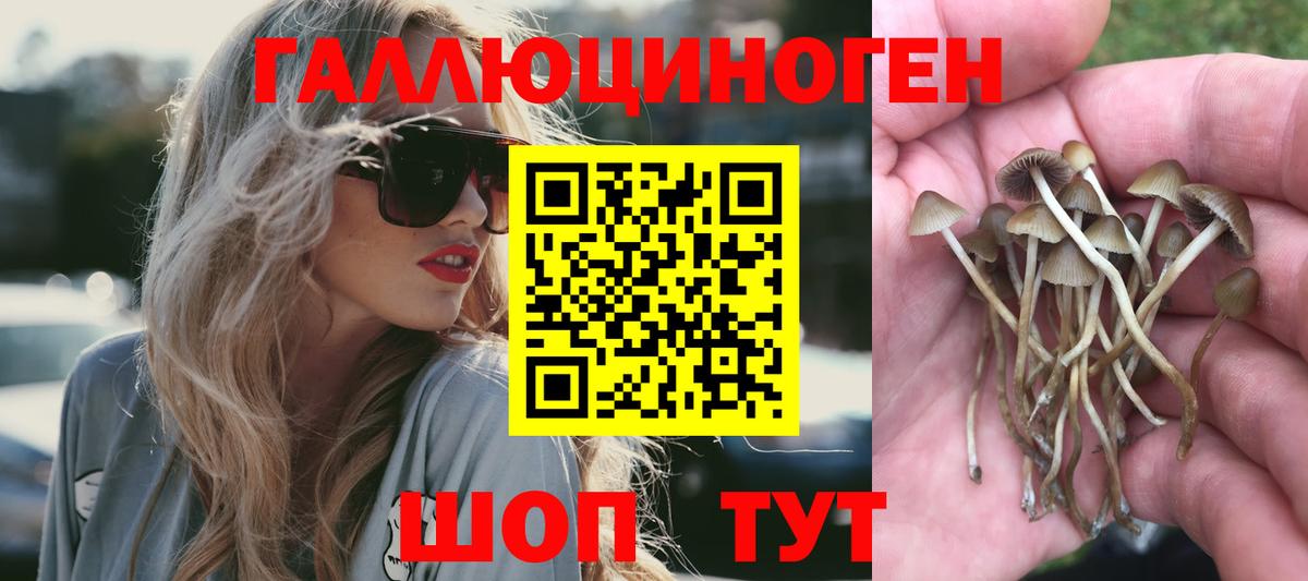 ГАШ  Канабис  Гашиш  МЕФ кристаллы  Конопля  A-PVP СК кристаллы  Вход с VPN  Киреевск  КОКАИН 
